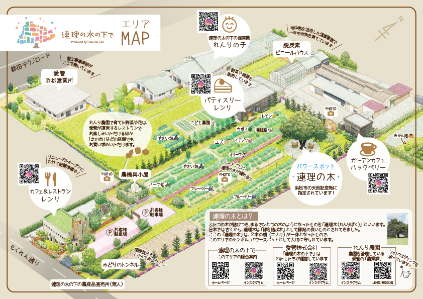 連理の木の下でのエリアマップ