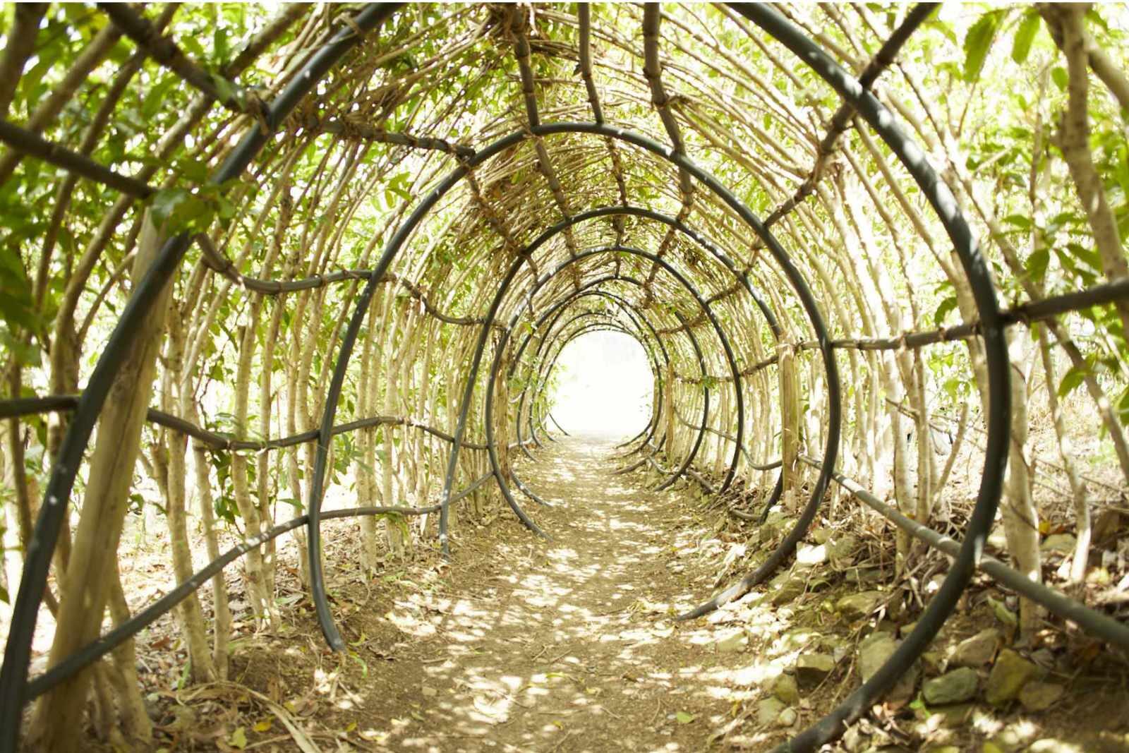 kinoshitadetopslide002