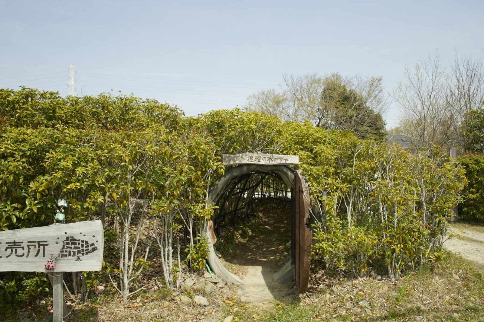 kinoshitadetopslide003