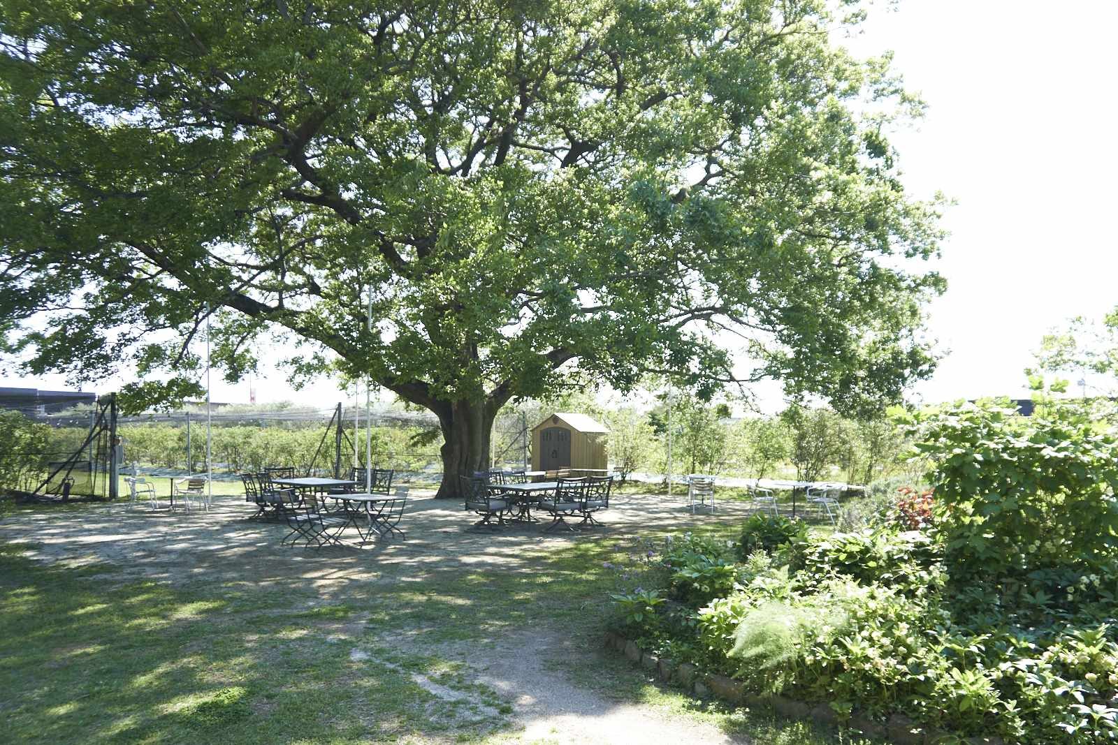 kinoshitadetopslide005