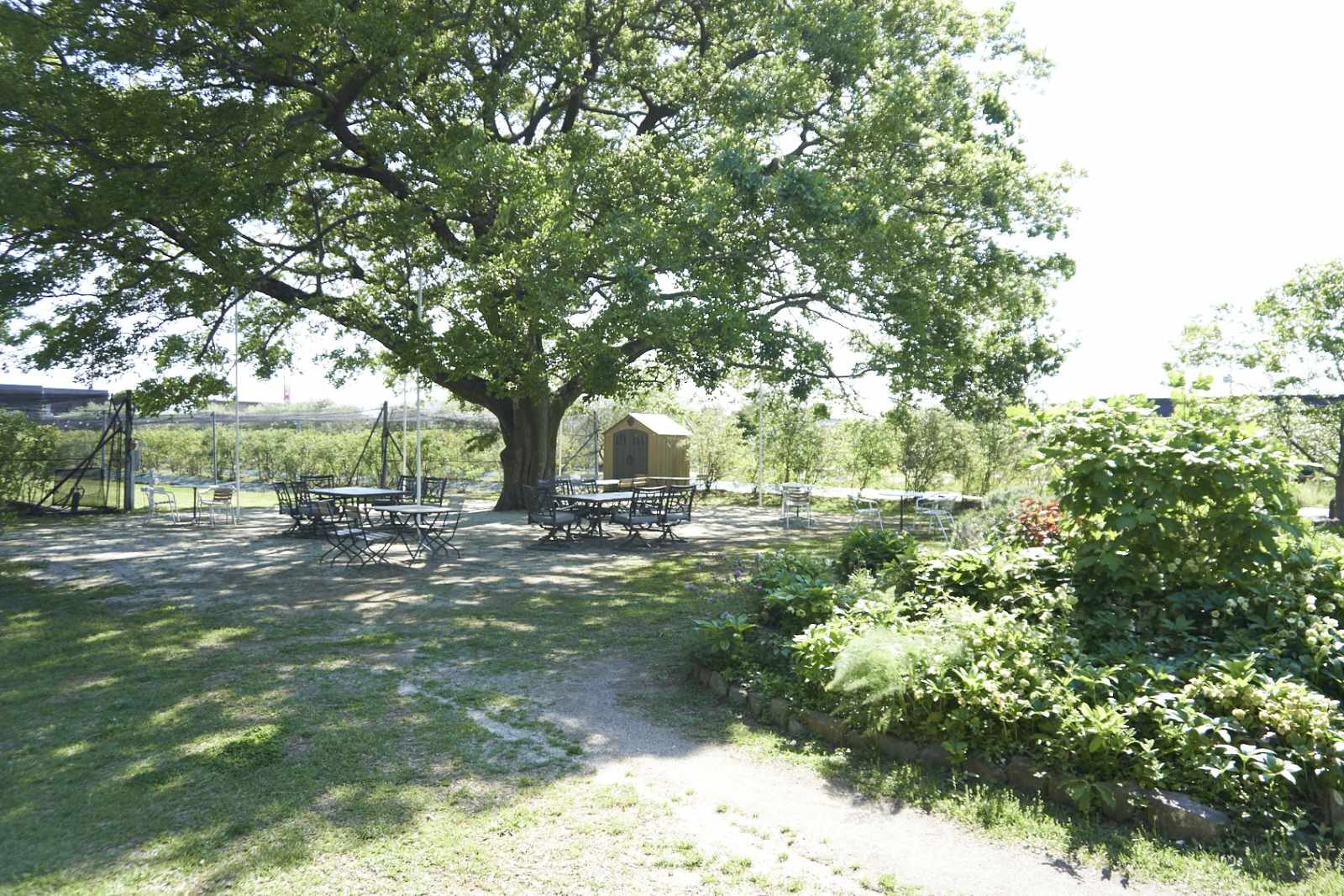 kinoshitadetopslide009