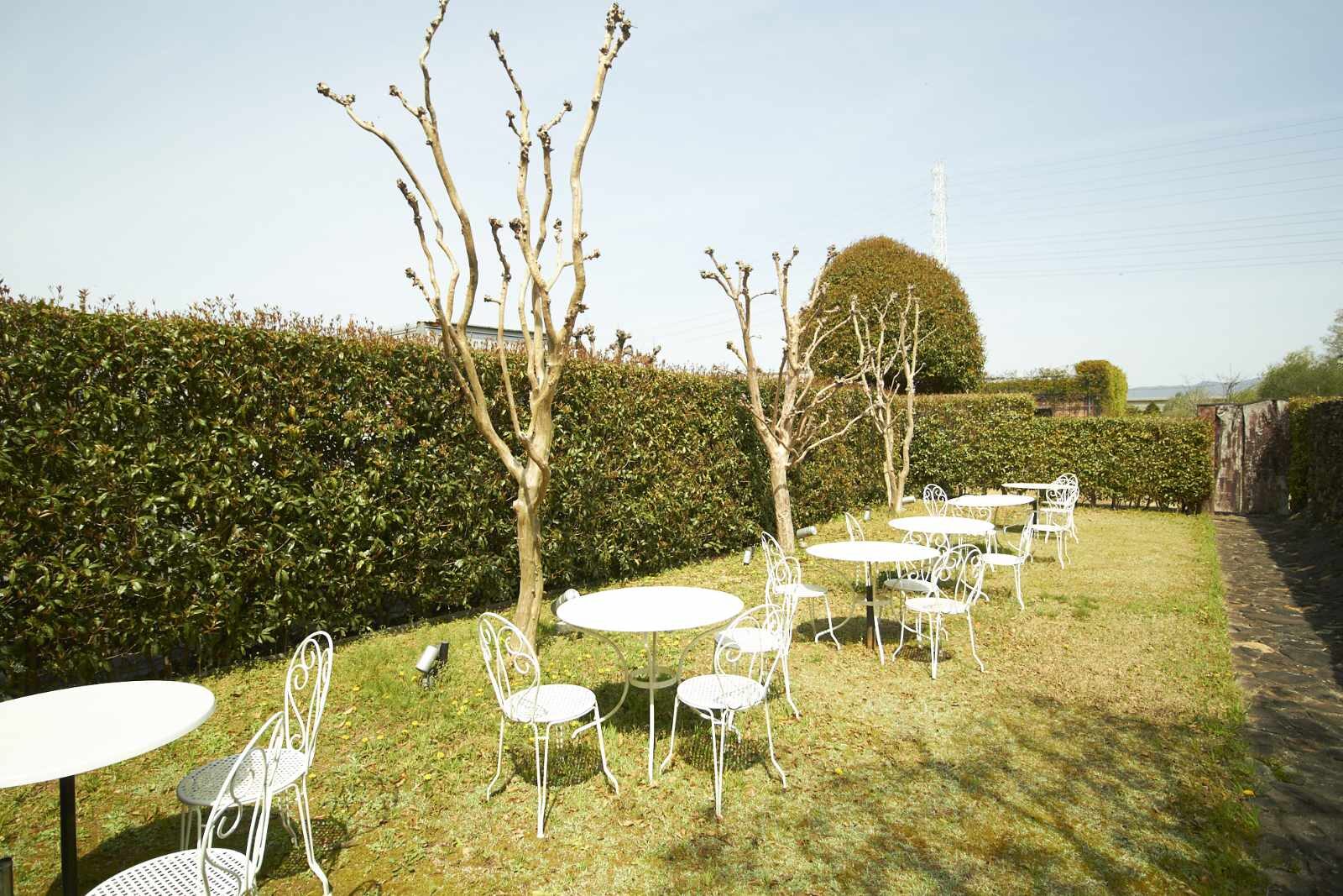 kinoshitadetopslide011